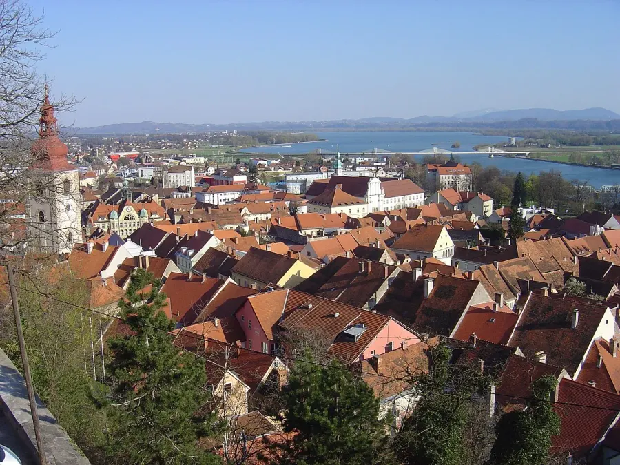 The Ptuj card