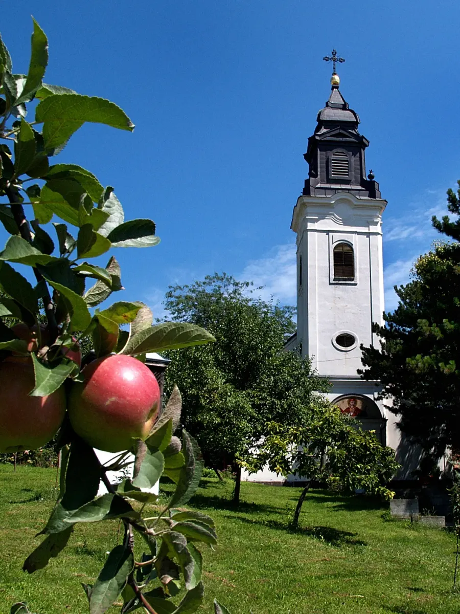 La carte Église de la Présentation-de-la-Mère-de-Dieu-au-Temple d'Inđija