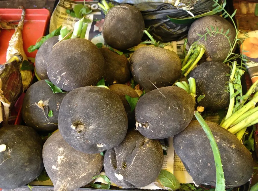 The Black radish card