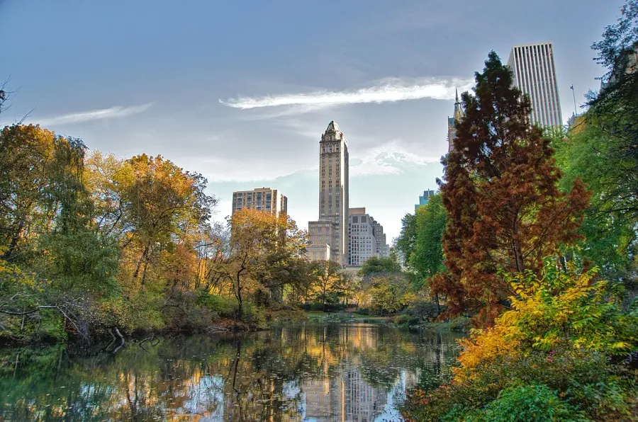 La carte Central Park