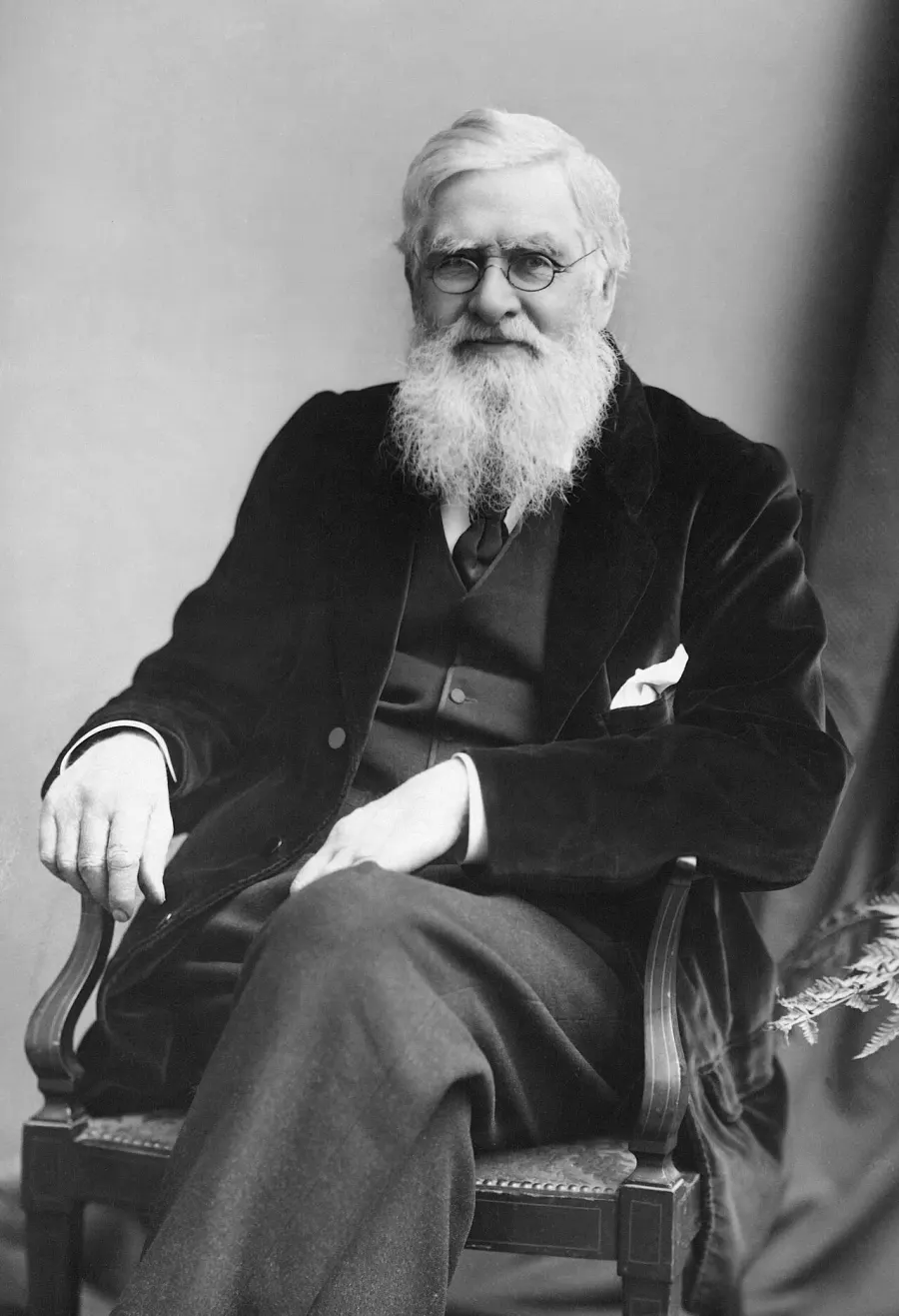 La carte Alfred Russel Wallace
