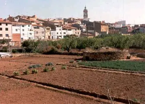 The Albocàsser card