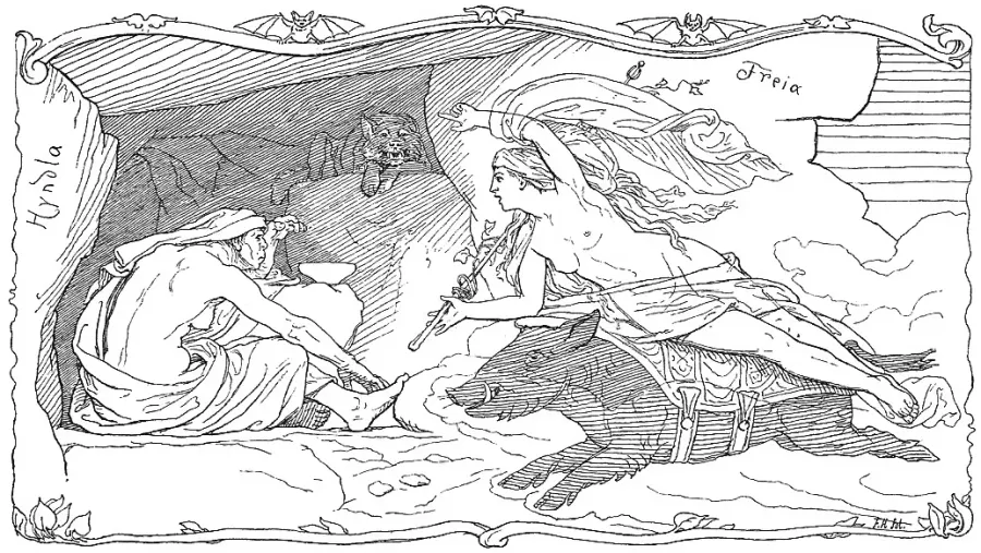 The Hildisvíni card