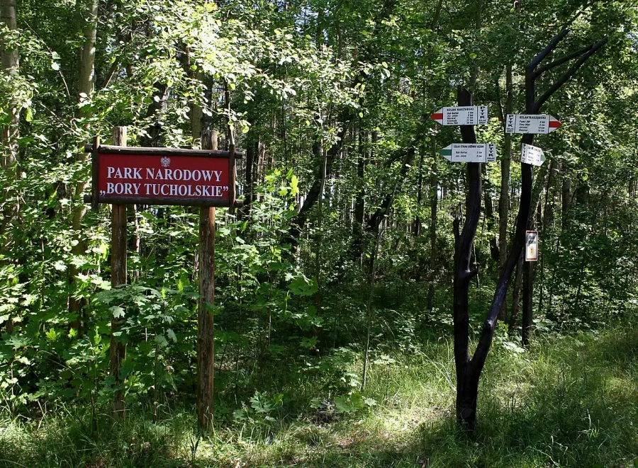 The Tuchola Forest National Park card