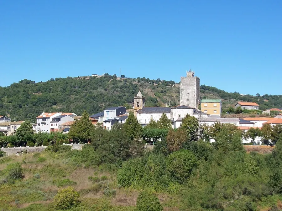 The Viana do Bolo card