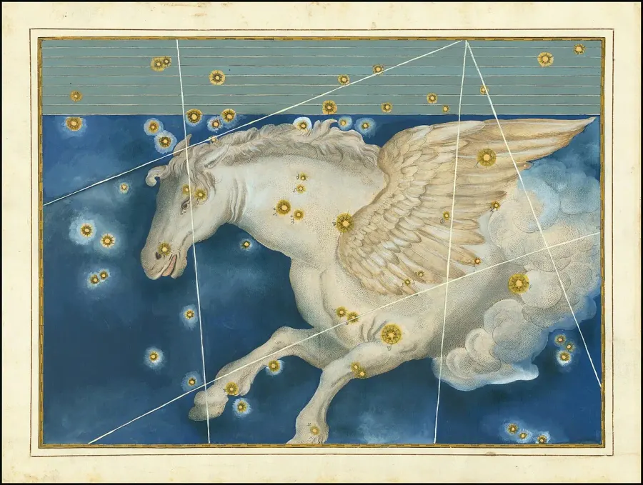 The Pegasus card