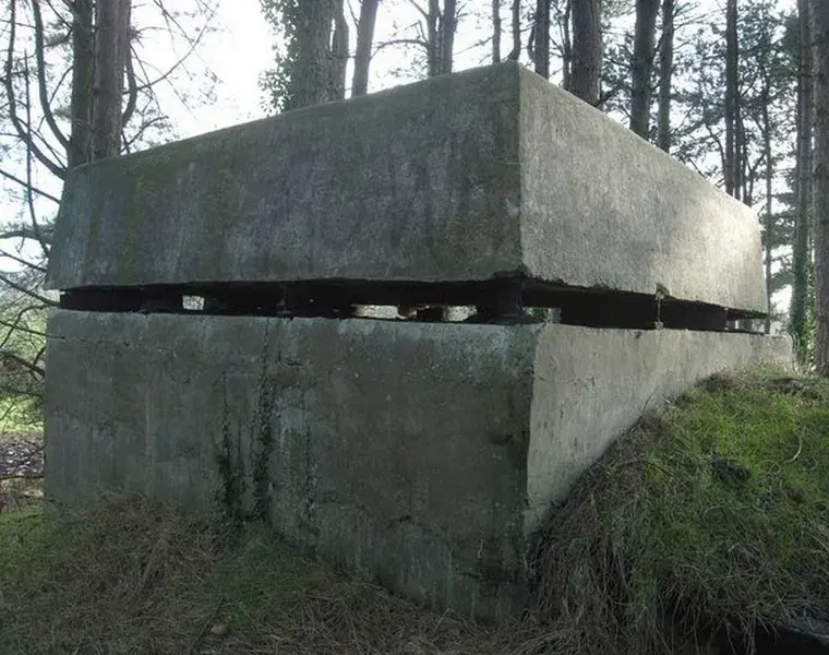 The Observation post card