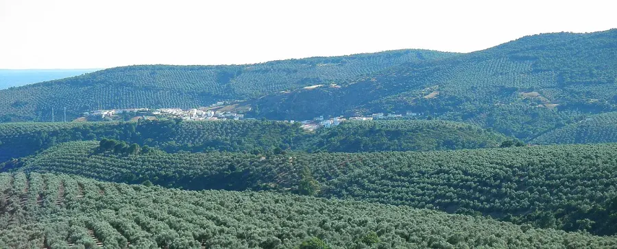 The Fuencaliente, Ciudad Real card