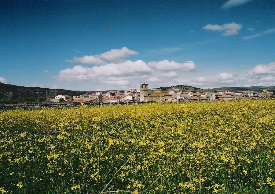 The Malpartida de Corneja card