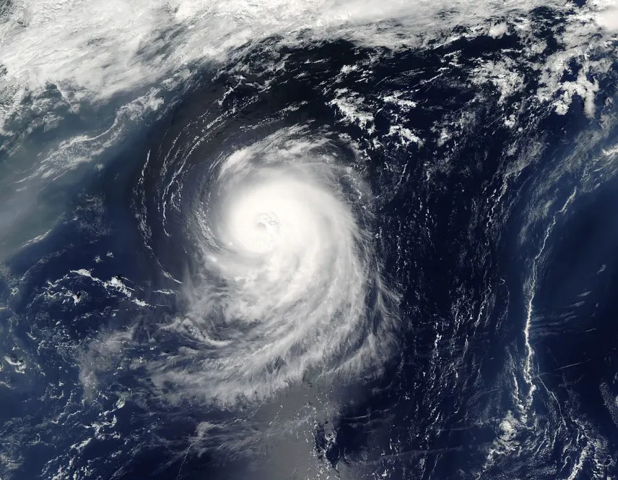 The Hurricane Irene card