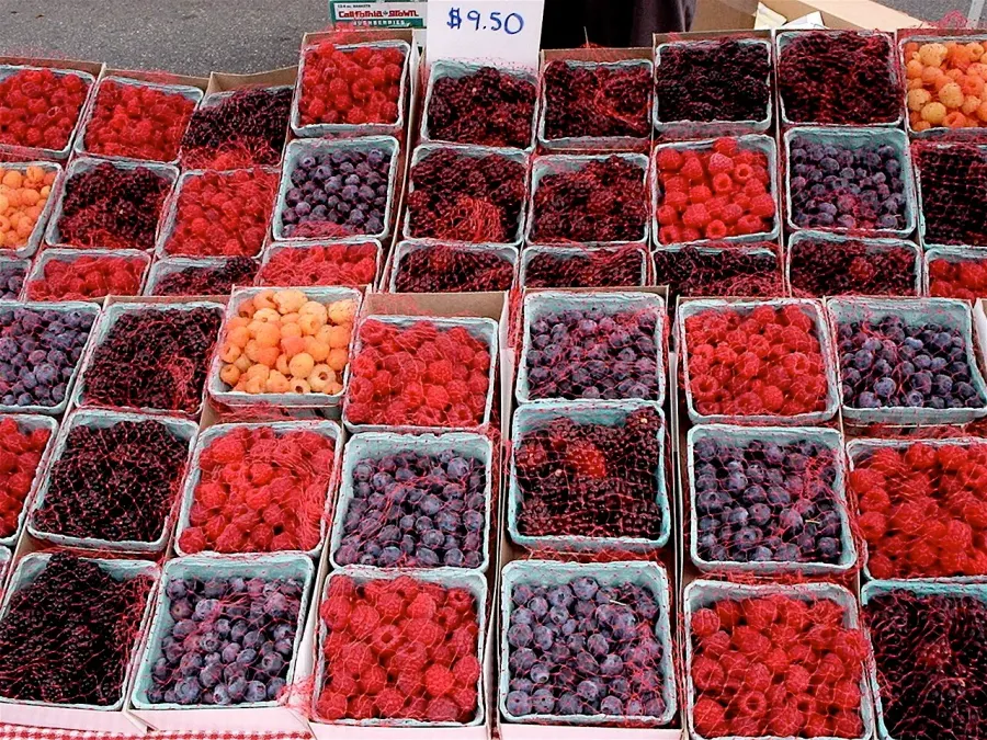 La carte Composé phytochimique