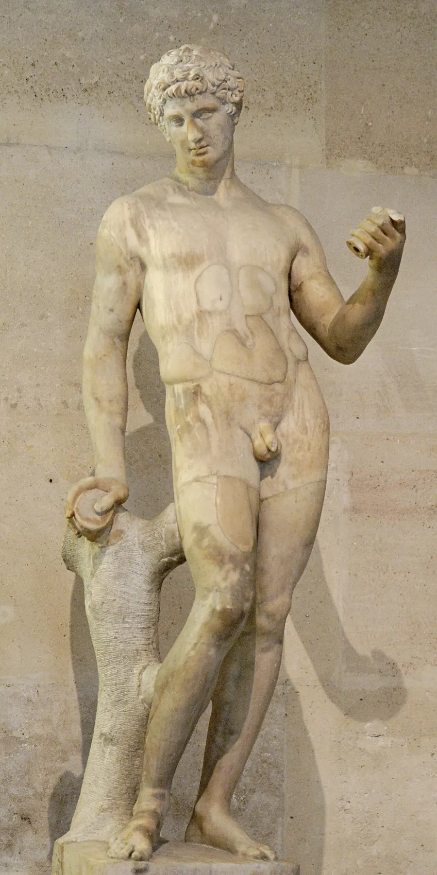 La carte Adonis