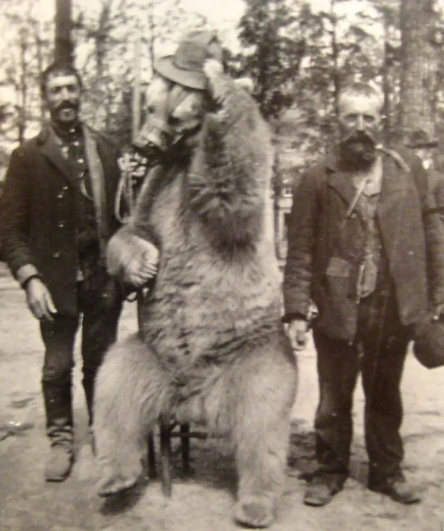 La carte Montreur d'ours