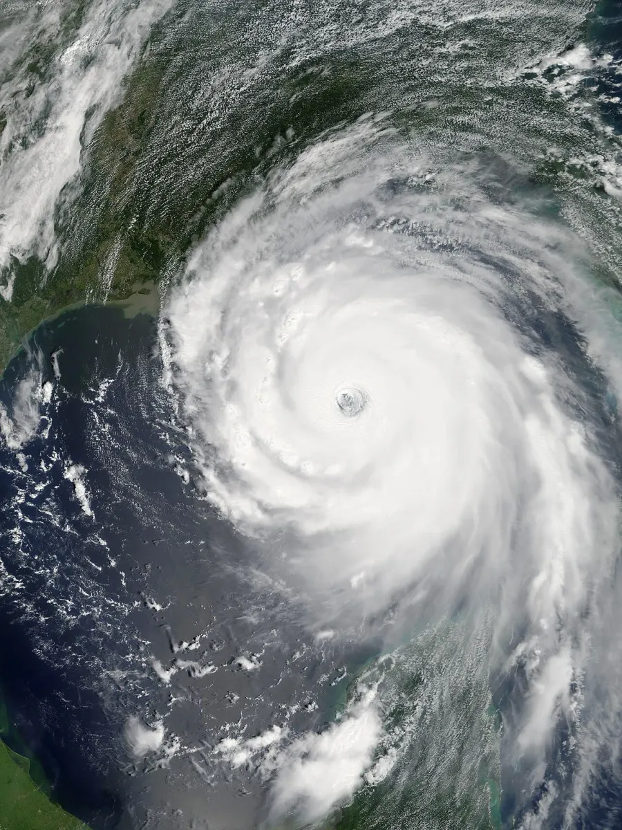 The Hurricane Katrina card