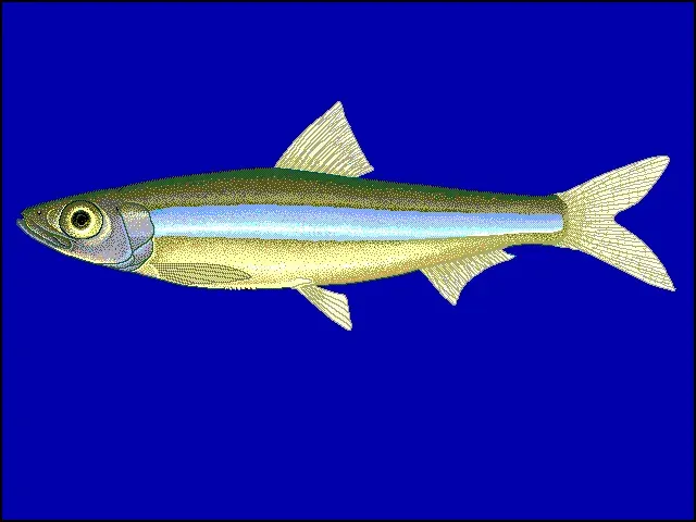 La carte Limnothrissa miodon