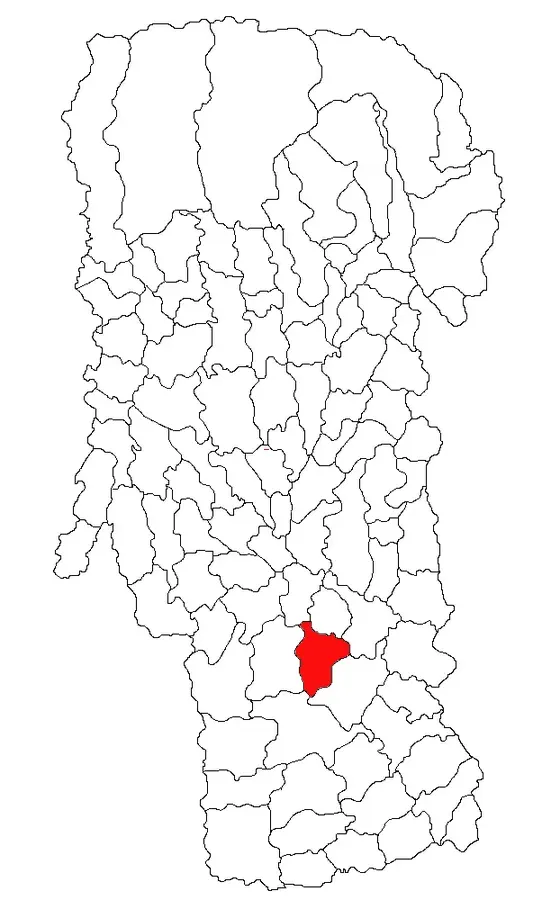The Suseni, Argeș card