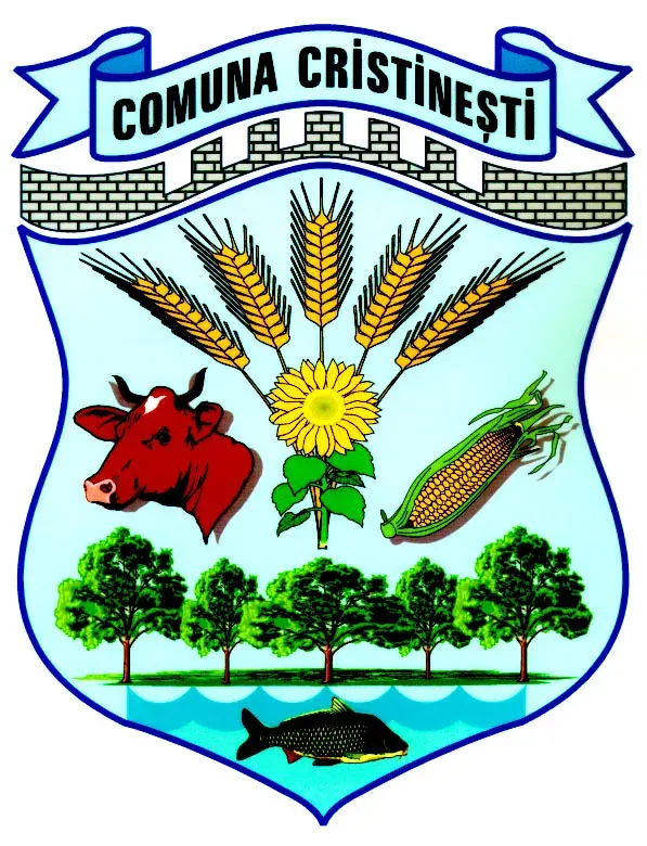 The Cristinești card