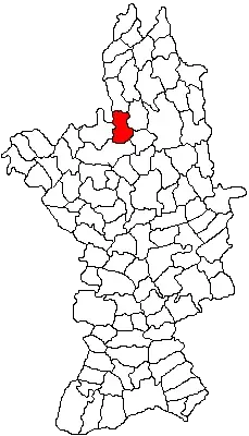 La carte Teslui