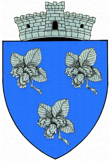 La carte Aluniș