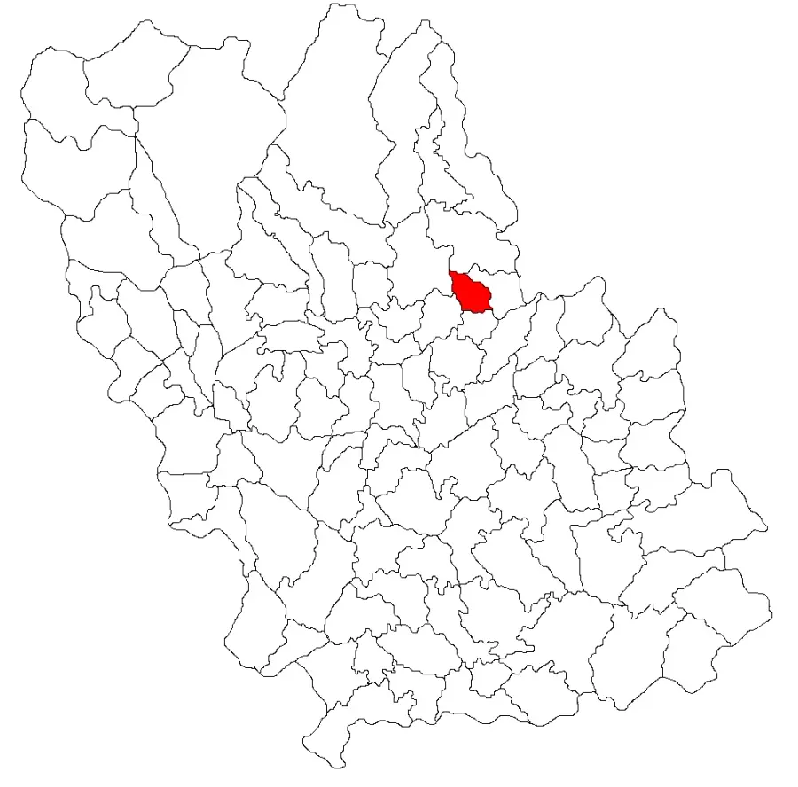 The Ariceștii Zeletin card