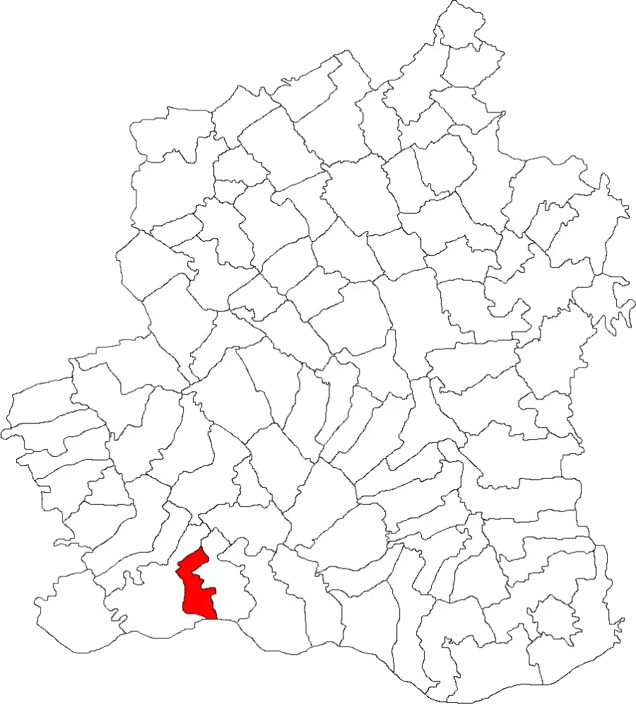 The Ciuperceni, Teleorman card