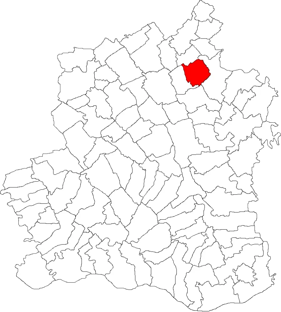 The Cosmești, Teleorman card