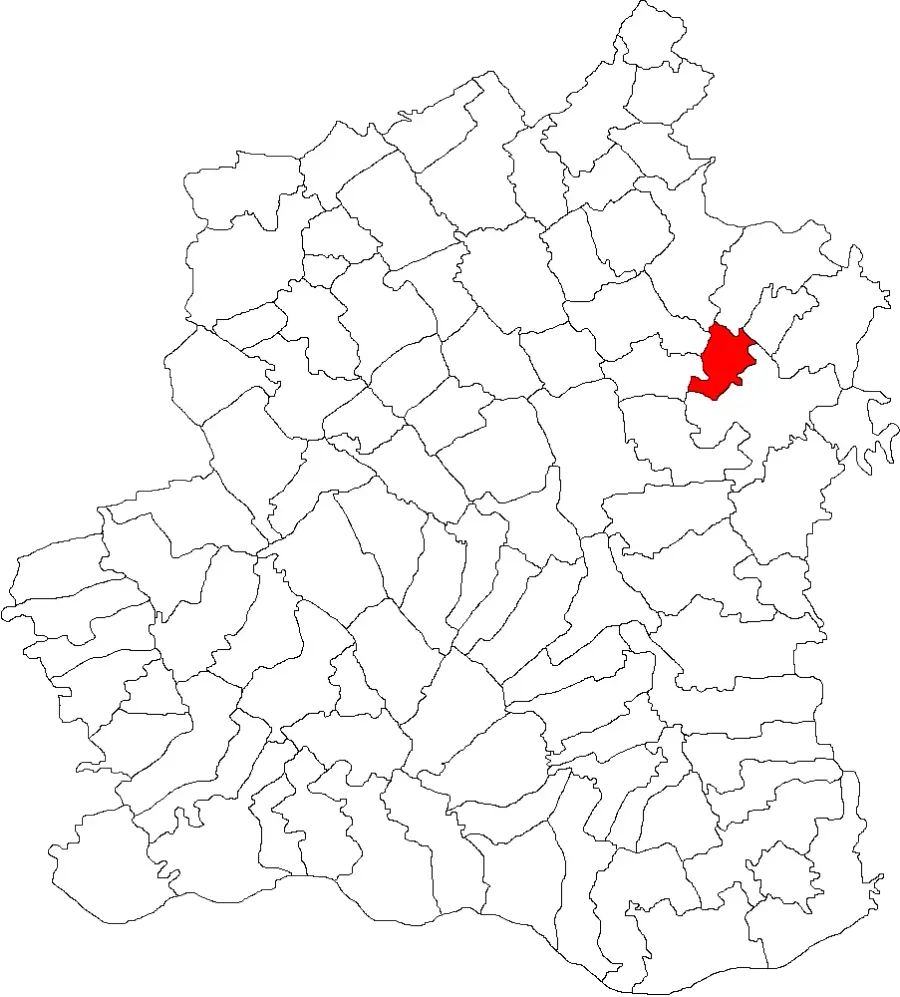 The Moșteni card