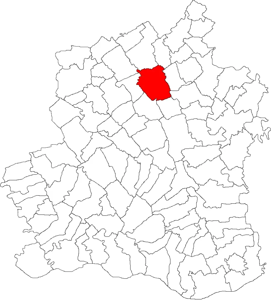 The Trivalea-Moșteni card