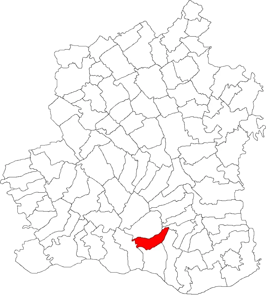 La carte Viișoara