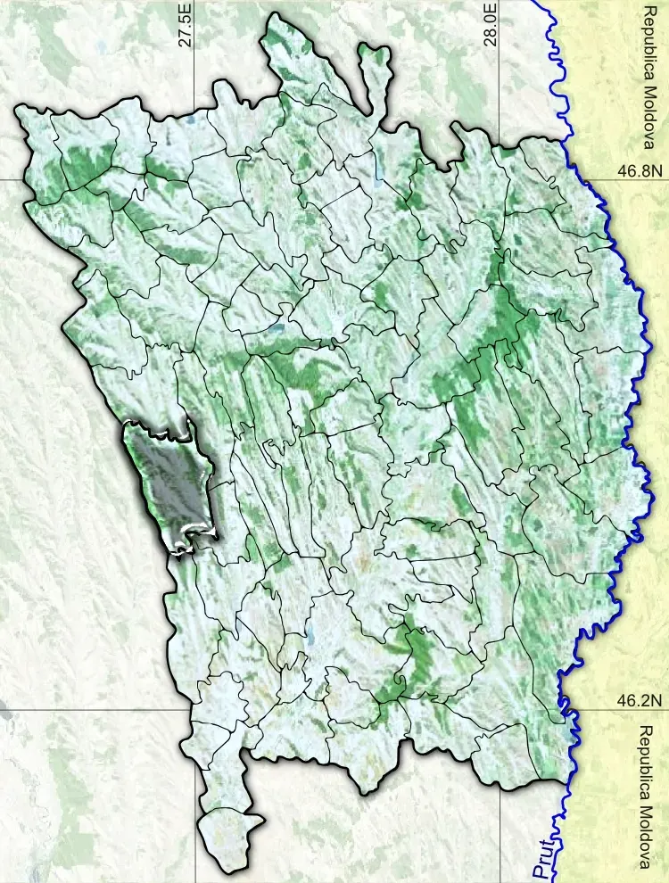 The Puiești, Vaslui card