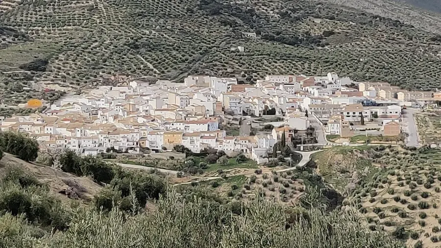 The Cárcheles card
