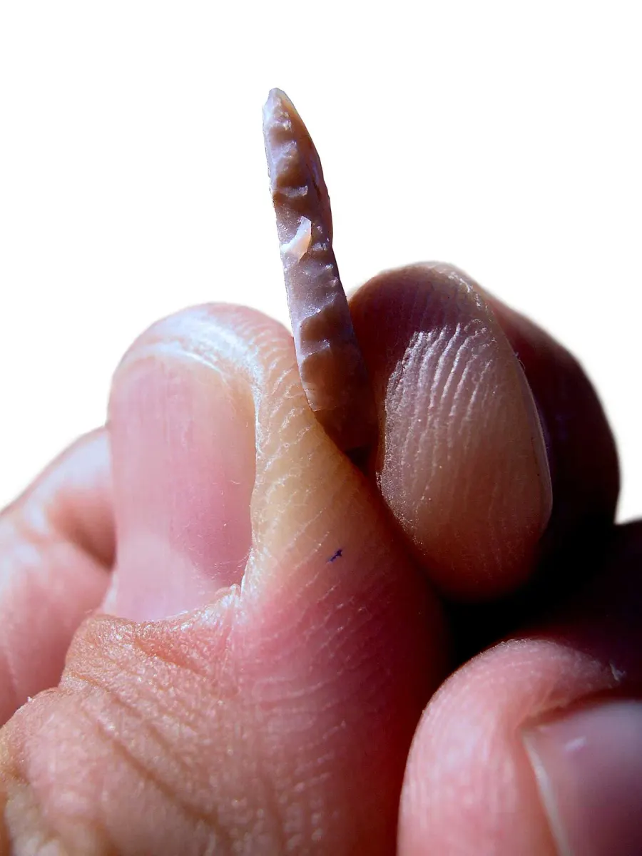 The Microlith card