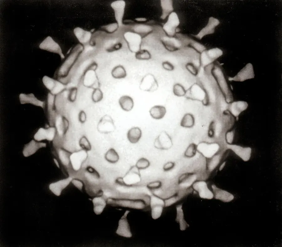 The Rotavirus card