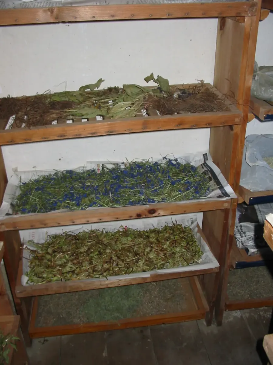 La carte Phytothérapie