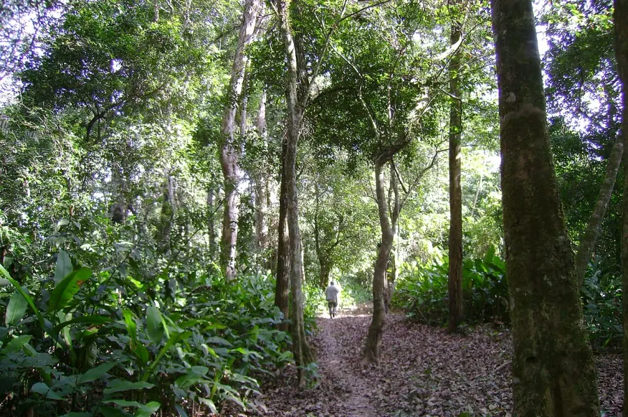 The Isiboro Sécure National Park and Indigenous Territory card