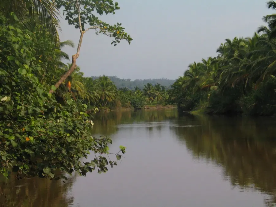 The Siberut National Park card