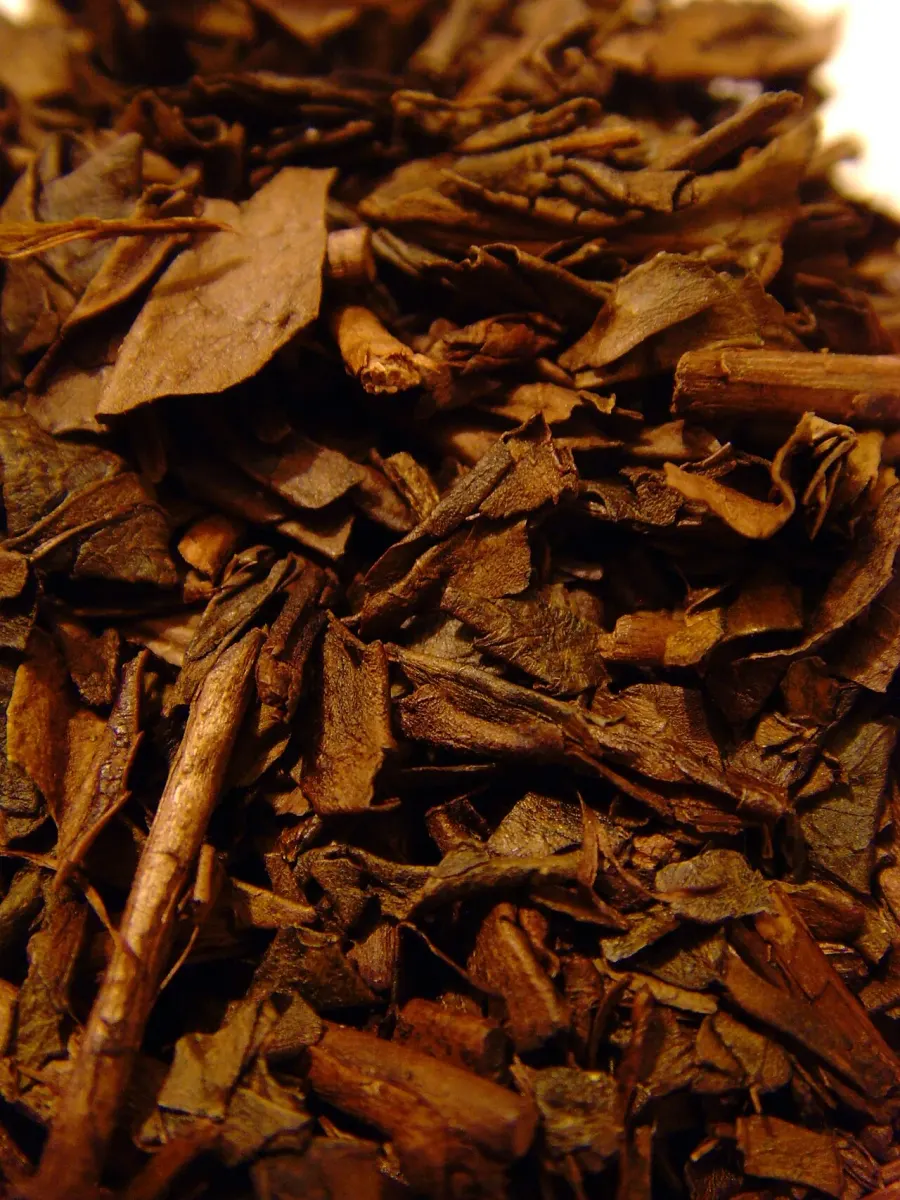 The Hōjicha card