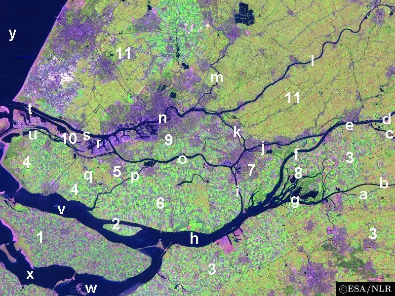 The IJsselmonde card