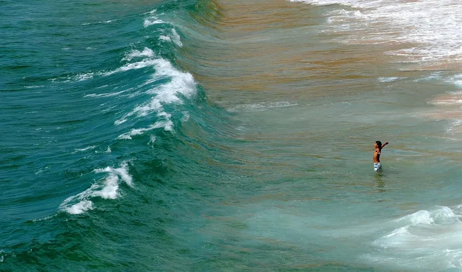 The Wind wave card