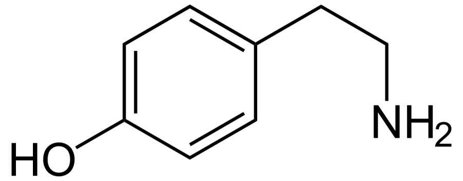 The Tyramine card