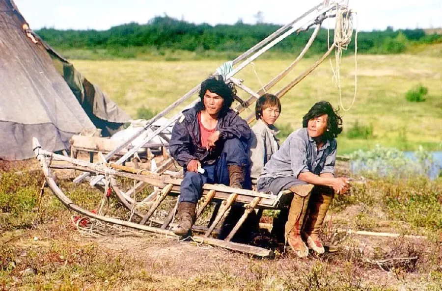 The Nenets card