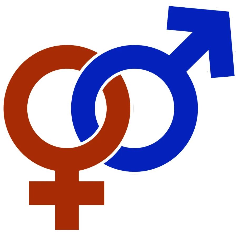 The Gender studies card