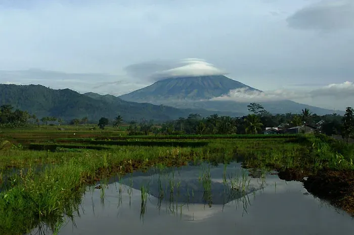 The Mount Sumbing card