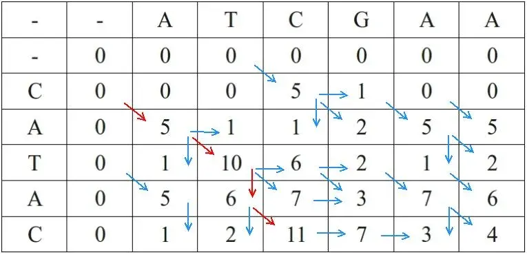 La carte Algorithme de Smith-Waterman
