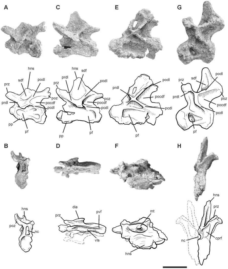 La carte Leinkupal