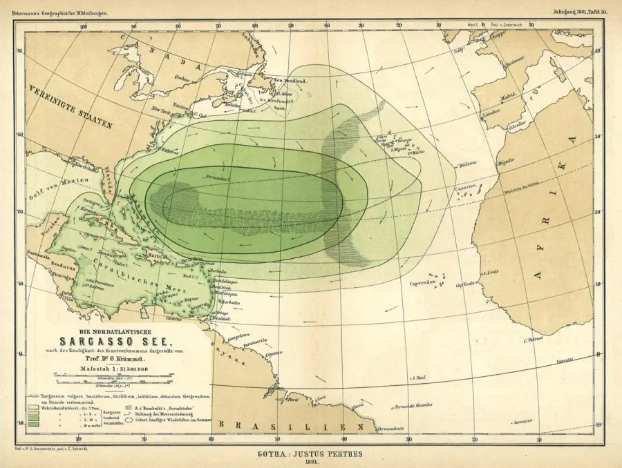 La carte Mer des Sargasses