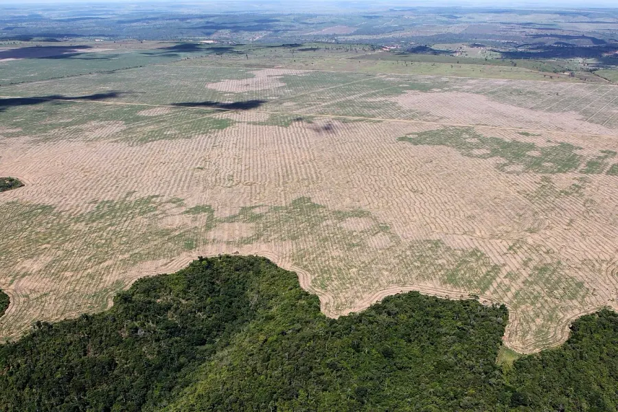 La carte Déforestation