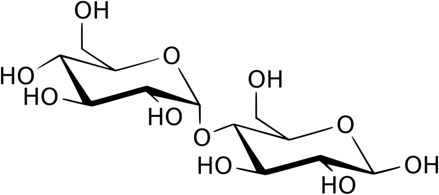 The Maltose card