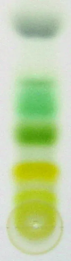 The Chromatography card