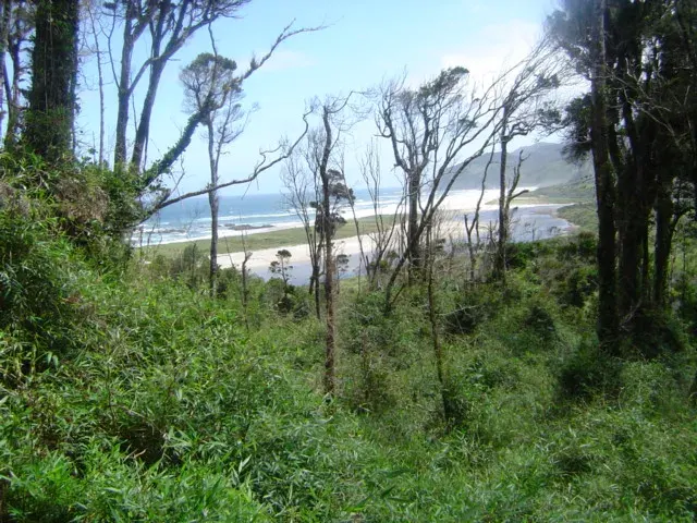 La carte Parc national Chiloé